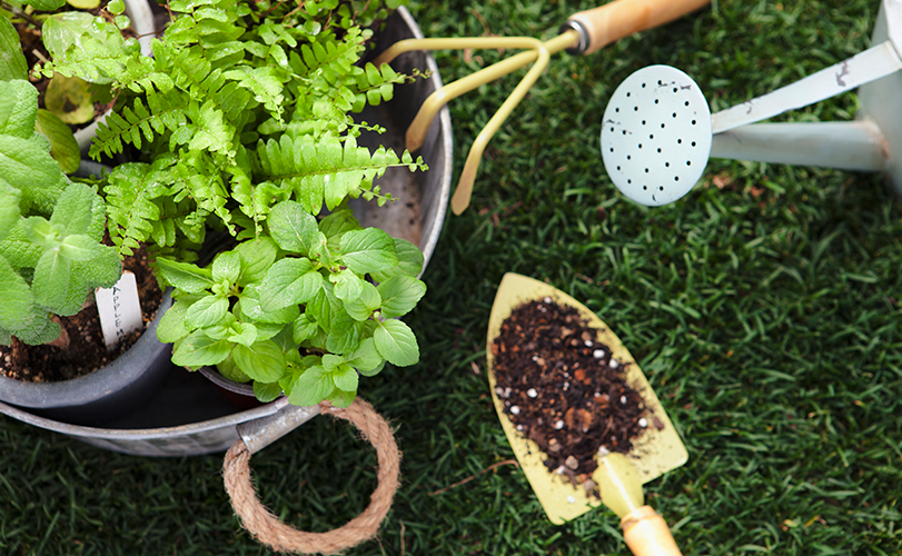 시설원예 스마트팜
